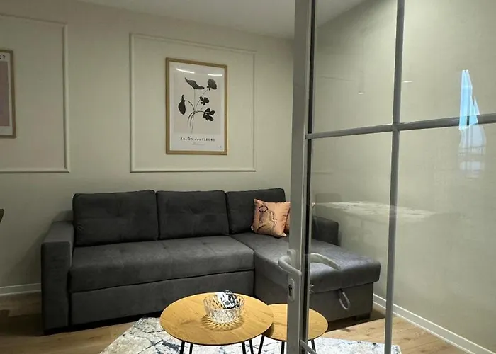 Appartement Charming Comfort *